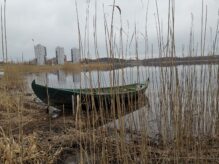 Äijäläranta ja Rauhalahti Halssilasta katsottuna