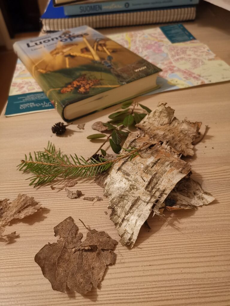 Opasta selailemassa kotona