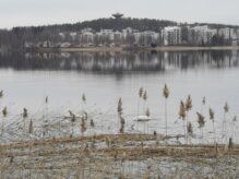 Kuokkala Halssilasta katsottuna. Kuvassa näkyy Kuokkalan vesitorni.