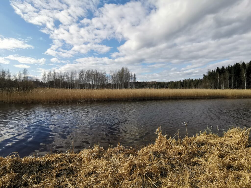 Muurame, Suomi, huhtikuu 2026