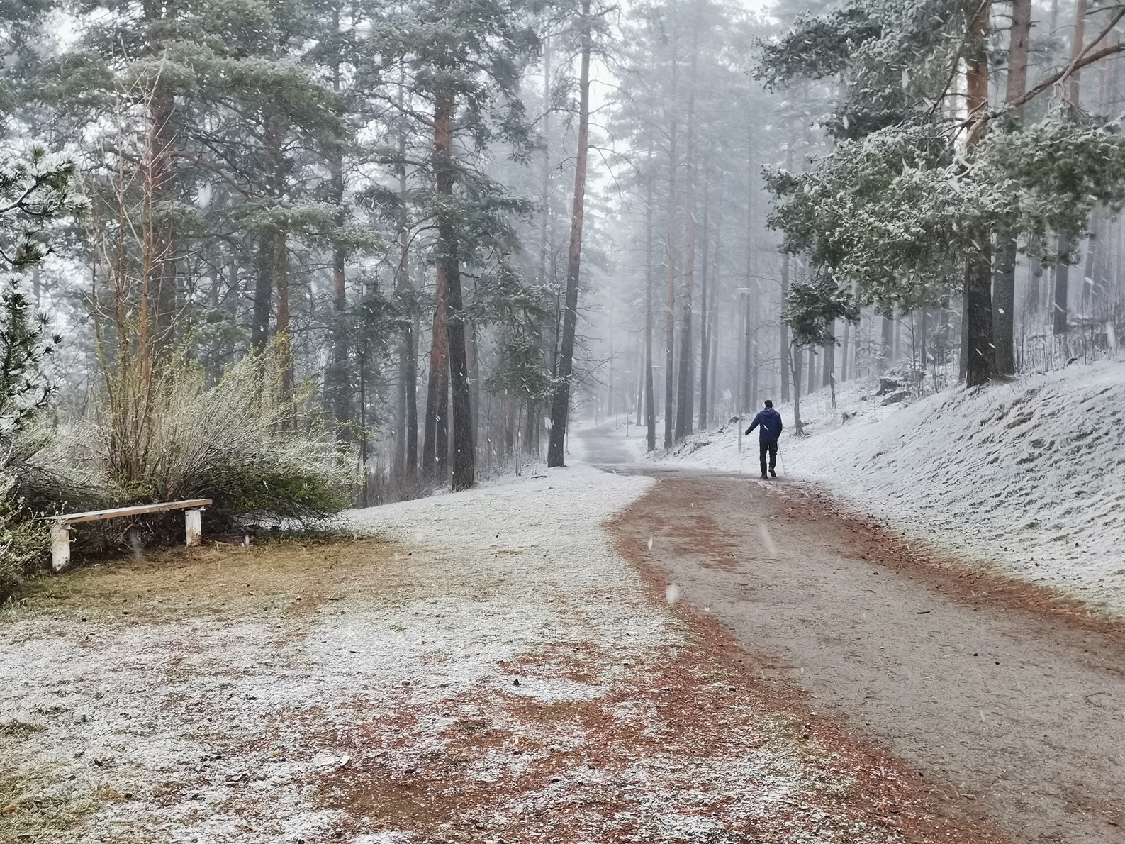 Nevada en Seminaarinmäki, 25 de abril de 2026