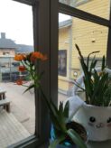 Toivolan vanha piha, Jyväskylä