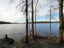 Tuomiojärvi Haukanniemestä