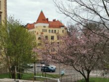 Villa Solsken, Ullankadulla